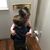 Leslye Meltzer Zisser's profile image