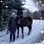 Jennifer Giannunzio's profile image