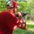 Gregg Helms's profile image