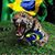 Marcelo Gonçalez's profile image