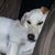 Cathy Engel's profile image