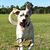 Nancy Tillis Akin's profile image