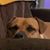 Chuck Davenport's profile image