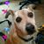 Hugh Grubaugh's profile image