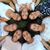 Celia Infante's profile image
