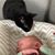 Scott Sherratt's profile image