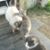 Charleen Hartung's profile image