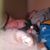 Jenny Hulbert's profile image