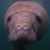 Diane Lee-Smith's profile image