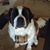 Maggie Cordier's profile image
