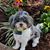 Debbie Worthy's profile image