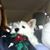 Beverly Hilley's profile image