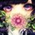 Christine Phan's profile image
