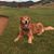 John Draheim's profile image