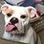 Anita Barnes Stubblefield's profile image