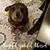 Kathleen Tvrdik's profile image