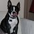 Colleen Seney's profile image
