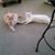 Kathleen Josaitis Taylor's profile image