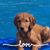 Missy Trauth Bauer's profile image