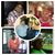Sis Shirley Grogan's profile image