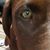 Howard Burpee's profile image