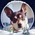 Daisy Corbin's profile image