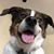 Beth Schroff's profile image