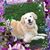 Michele La Jeunesse's profile image