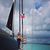 Sarah Chappel's profile image