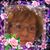 Sandy Wilson's profile image