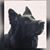 John Hopkin's profile image