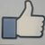 Nancy Solcanyi's profile image