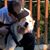 Steven Bozarth's profile image