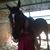 Shannon Simpson's profile image