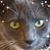 Pamela Peterson Hildreth's profile image