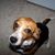 Kathleen Kelley Gagliano's profile image