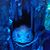 Jennifer Caves Zavodsky's profile image