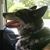 Judie Pouly's profile image