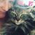 JerriAnn Autry's profile image