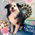 Sheila Streltzer's profile image