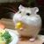 David Rosselle's profile image