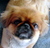 Karen P.'s profile image