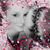 Candas Marie's profile image