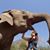Jen Derse's profile image