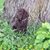 Tina Schiefelbein's profile image