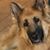 Ann Dobrzynski's profile image