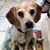 Carrie Matthew Genito's profile image