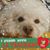 Sandy Claus's profile image