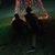 Shelby Kull's profile image