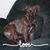 Millisia Poole Munn's profile image